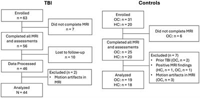 Longitudinal assessment of glymphatic changes following mild traumatic brain injury: Insights from perivascular space burden and DTI-ALPS imaging